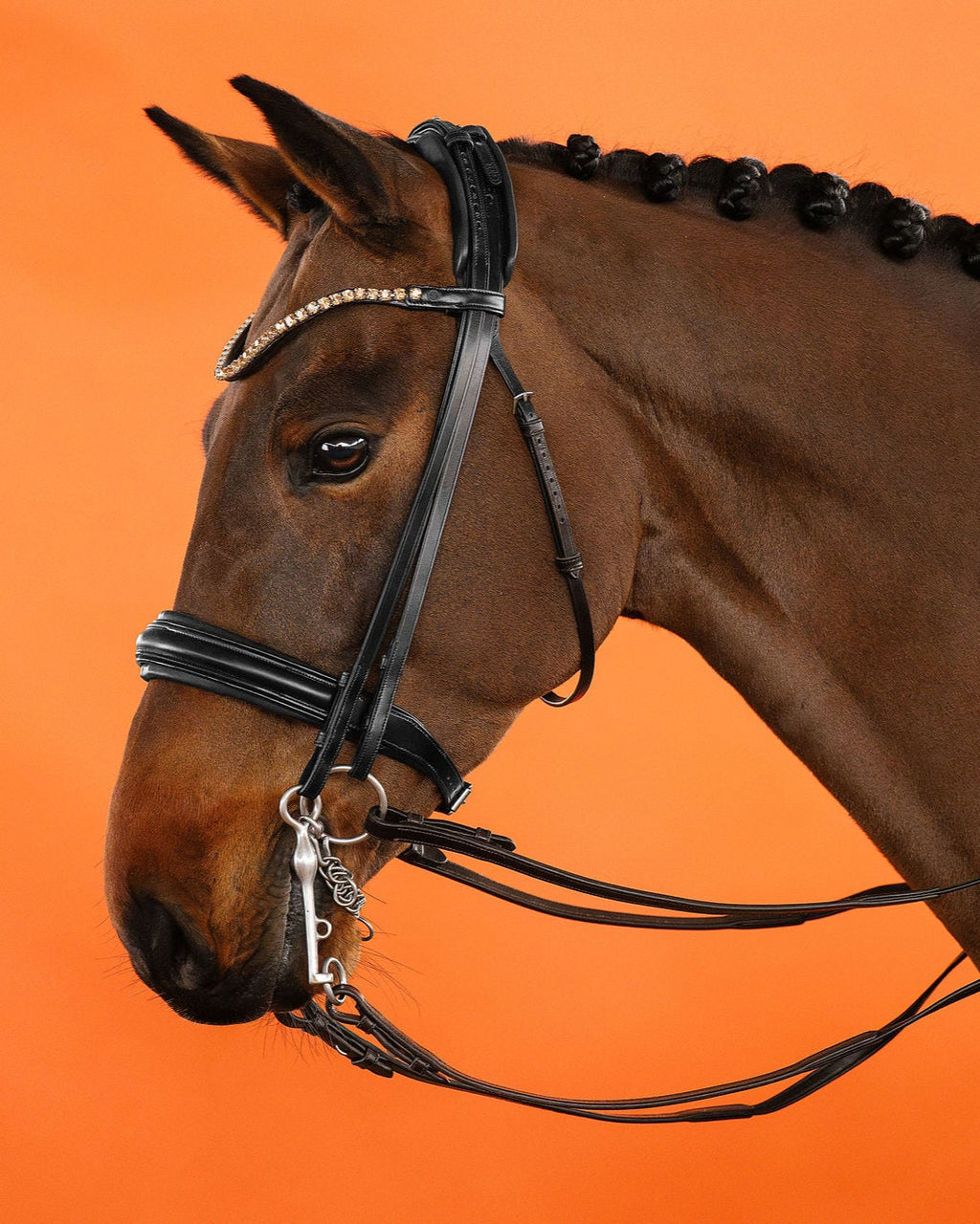 Double Bridle – Black | No. 11