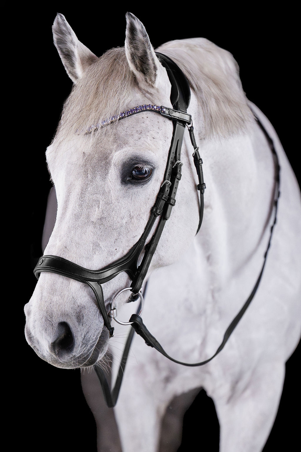 Tanzanite Crystal Browband (8 mm) (Black) | No. 60