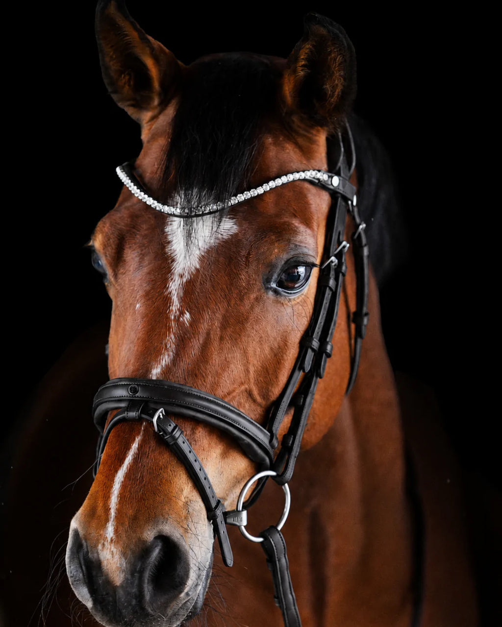 Pony Bridle No. 16 | Black