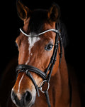 Pony Bridle No. 16 | Black