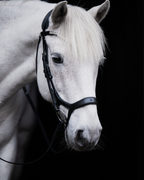 Pony Bridle No. 15 | Black