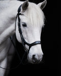 Pony Bridle No. 15 | Black