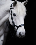 Pony Bridle No. 15 | Black