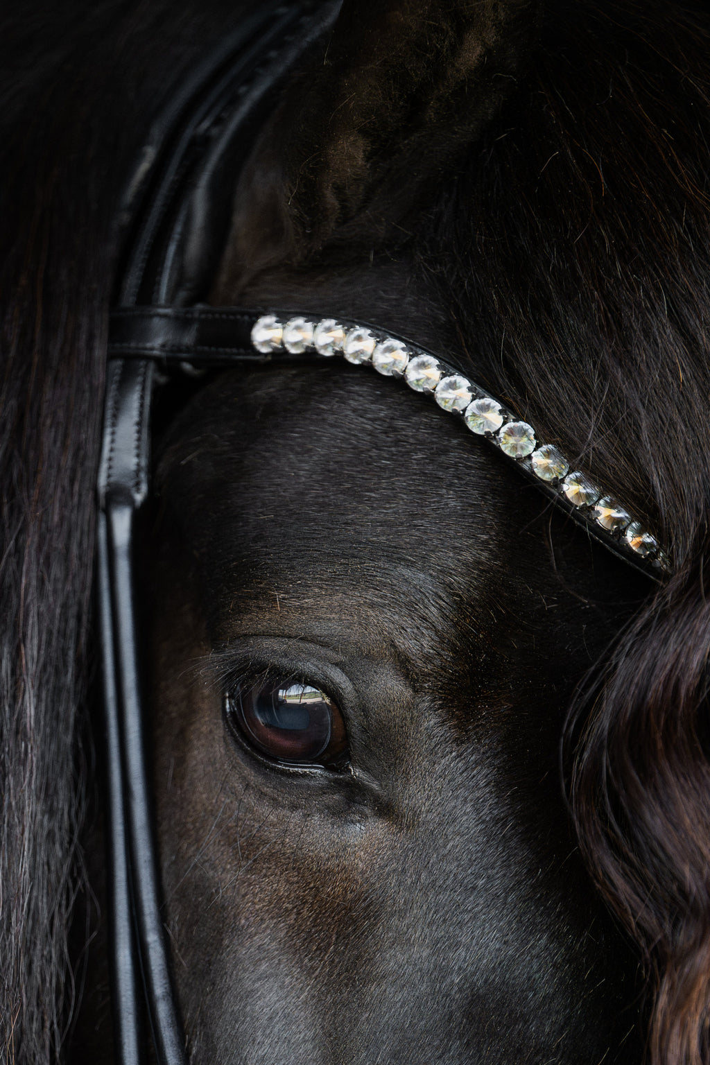 Native Bridle No. 22 | Black