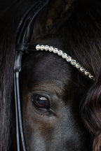 Native Bridle No. 22 | Black