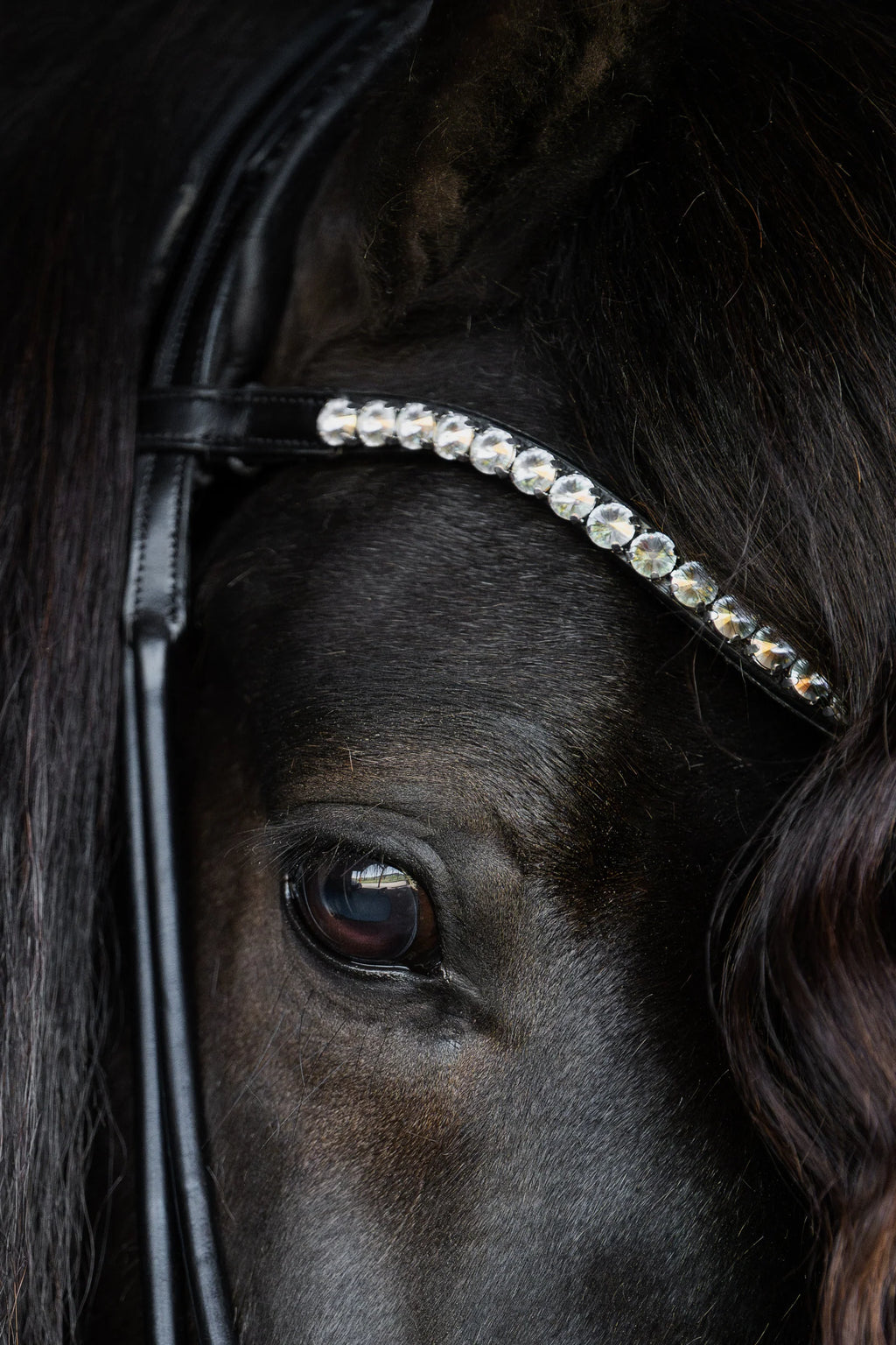 Native Bridle No. 22 | Black