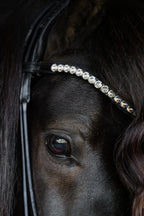 Native Bridle No. 22 | Black