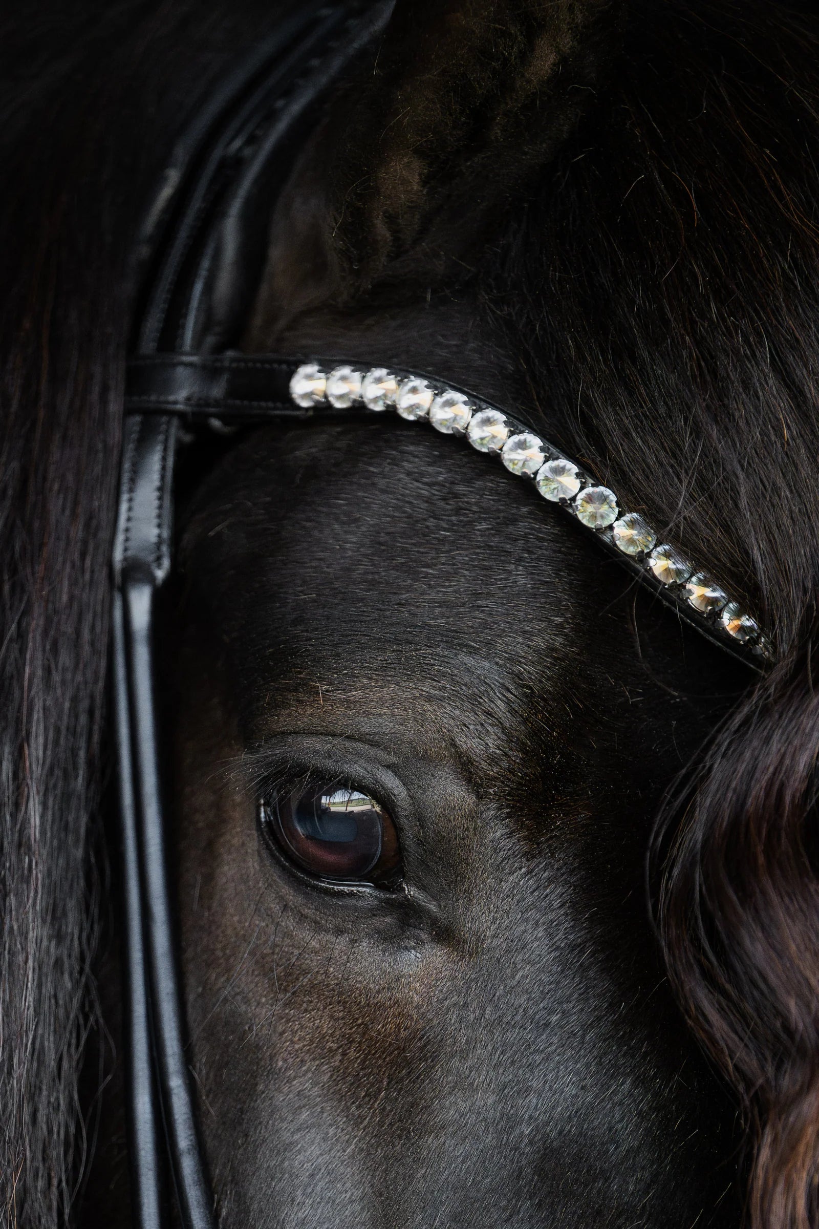 Native Bridle No. 22 | Black