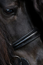 Native Bridle No. 22 | Black