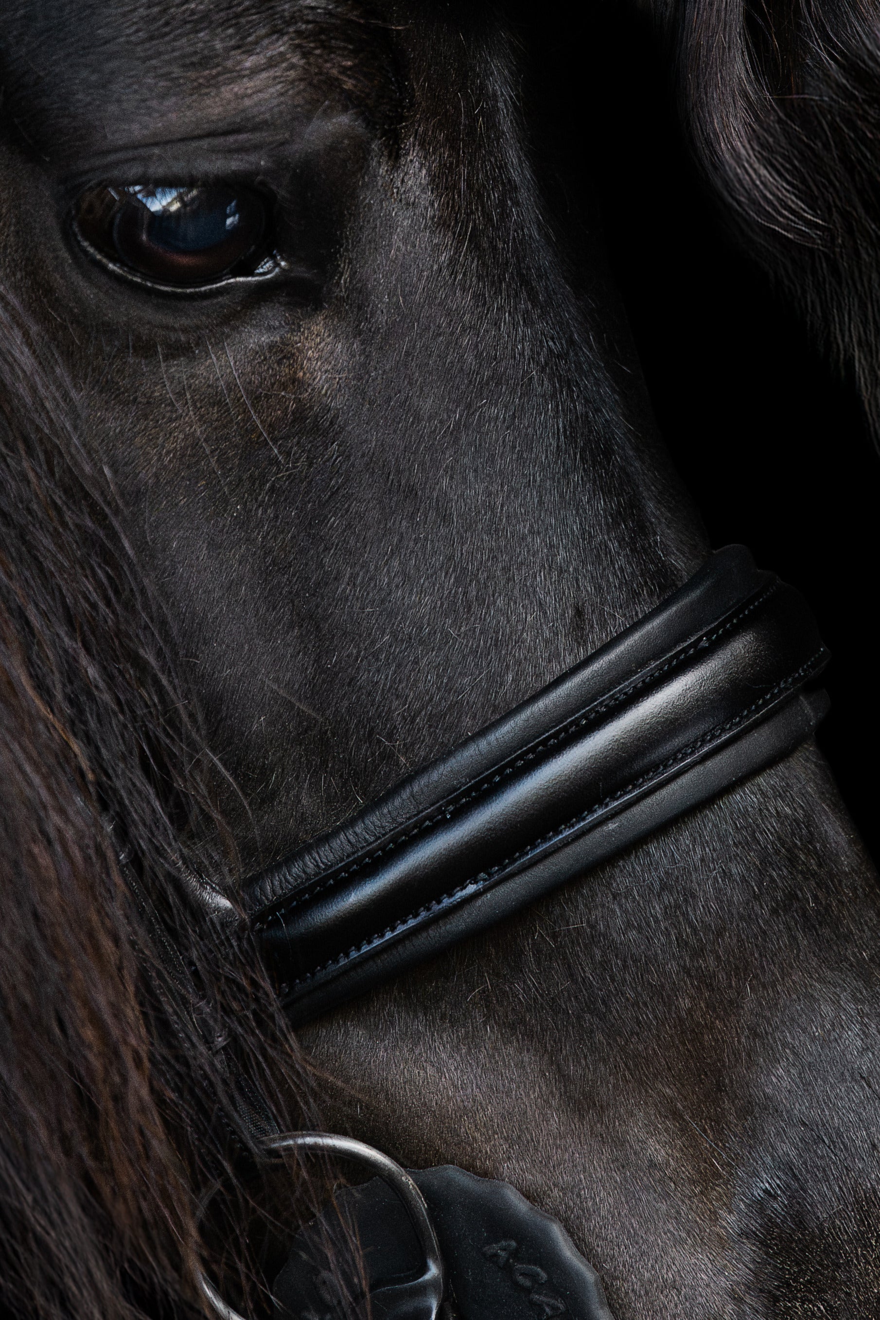 Native Bridle No. 22 | Black