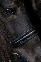Native Bridle No. 22 | Black