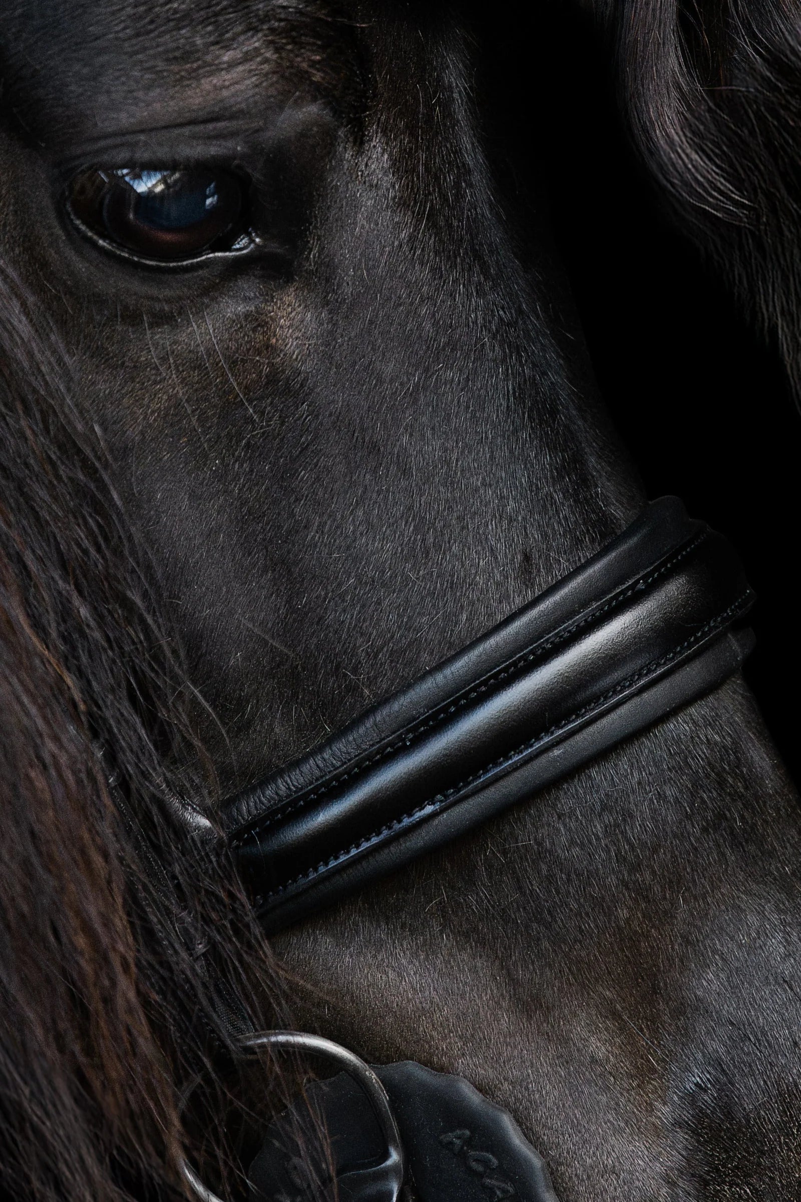 Native Bridle No. 22 | Black