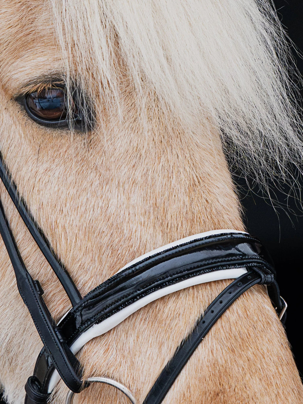 Native Bridle No. 24 | Black