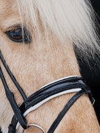 Native Bridle No. 24 | Black