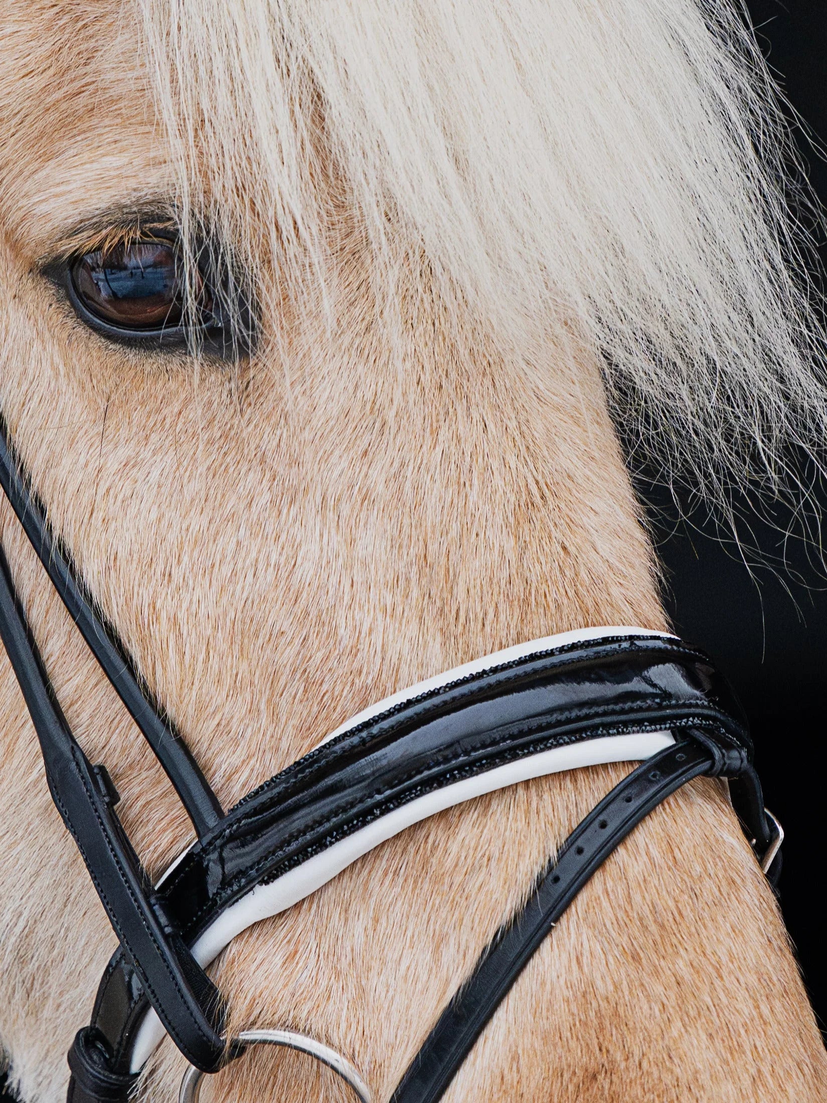 Native Bridle No. 24 | Black
