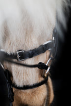 Native Bridle No. 24 | Black